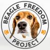 BeagleFreedomProjectlogo